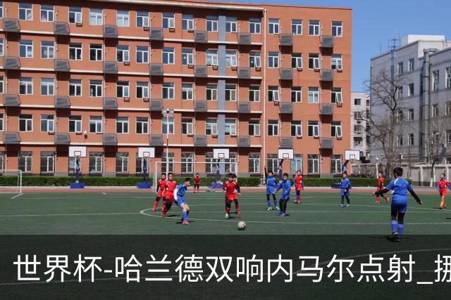 世界杯-哈兰德双响内马尔点射 挪威2-1淘汰巴西进8强
