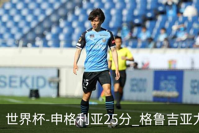 世界杯-申格利亚25分 格鲁吉亚力克委内瑞拉
